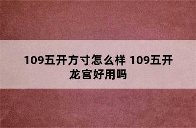 109五开方寸怎么样 109五开龙宫好用吗